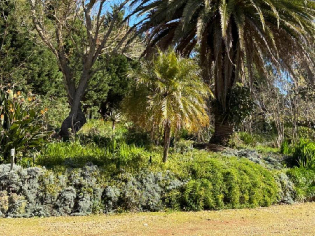 Madajo Villa Stellenbosch Luaran gambar